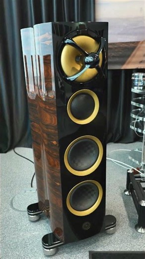 AudioNostrum & Teansrotor 🔊🔥🎶 #audiophile #loudspeakers #hifi