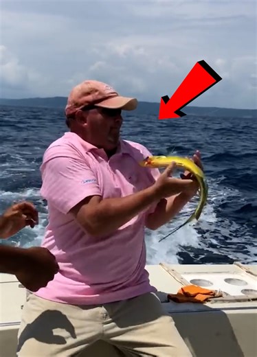 Fishing Like a Noob😬🎣 | Darcy Donavan