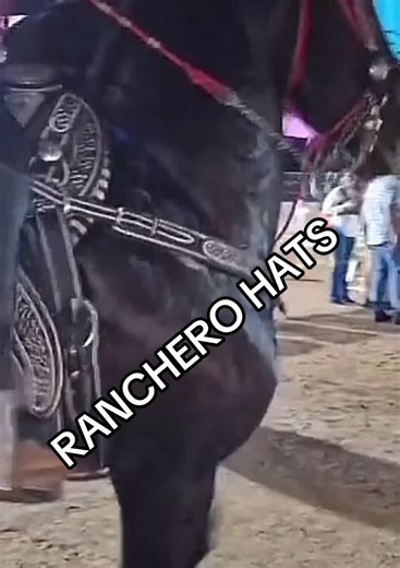 Ranchero Hats: A Deep Dive into Their Charm