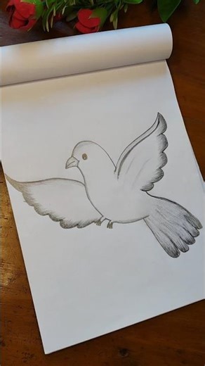 Beautiful Flying Bird Sketch🕊️✨ || Easy Bird Drawing for Beginners✏️#shorts #birdwing #pencilsketch