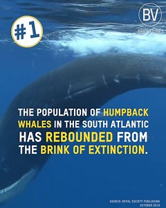 5.4K views · 175 reactions | The Best 2019 News Stories most media didn't cover! Universe | People Love Science Credit: Bright Vibes | Universe | Facebook