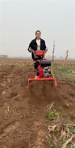 Easy to operate Saves time, effort, and labor Mini TillerFour-wheel drive micro tillage machine..