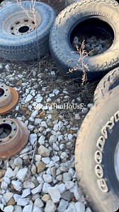 23K views · 24K reactions | I once read a book from Joel Salatin that said something along the lines of “a good farm will have piles of junk.” So let’s call this piece ✨Joel Salatin on oil canvas✨Please don’t forget the fly strips inside, though. Nothing feels more farmhouse than a fly strip hanging from ceiling while you eat dinner. Anyhow. I blame winter, mostly. Thank you to @rustyrosefarm for the inspiration & keeping it real ‍♀️ | Untamed Farm | Facebook