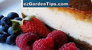 Hoe wilde frambozenplanten te vermeerderen 🌱 Tips Tuinders - Nl.ezGardenTips.com