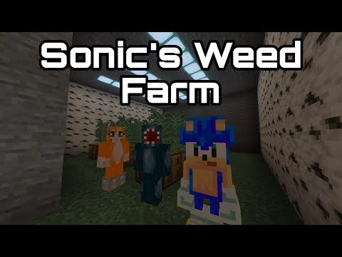 Minecraft Stampy - Sonic's Weed Farm [223]