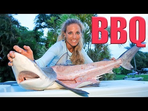 How to Catch, Clean & Cook BLACKTIP SHARK!