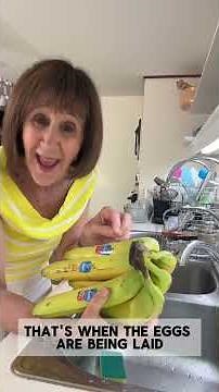 Fruit Fly Prevention Hack for Bananas