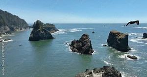 Cliffside Adventures: Explore the rugged cliffs of the Oregon coast from a bird's-eye view, discovering hidden waterfalls and hidden coves.