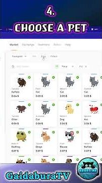 How to get pets from Star pets! Pets for Adopt Me. #springwithstarpets