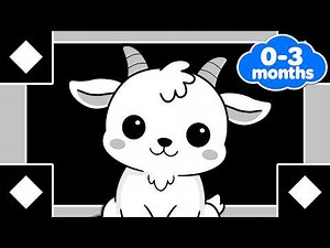 High Contrast Baby Sensory for Newborns | Moving Black & White Animals in Frames | 4k