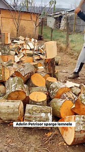 62K views · 558 reactions | Adelin Petrisor sparge lemnele | Băiatul de la Țară | Facebook