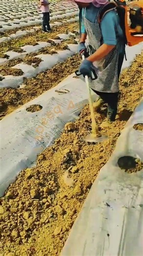 High-Speed Soil Boring: The Ultimate Hole Puncher Tool 🚜🌱💥