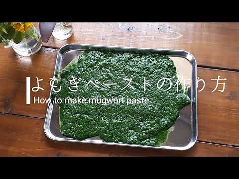【野草料理】よもぎペーストの作り方