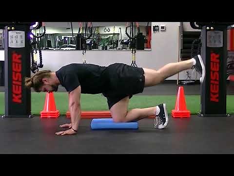 Quadruped Fire Hydrants