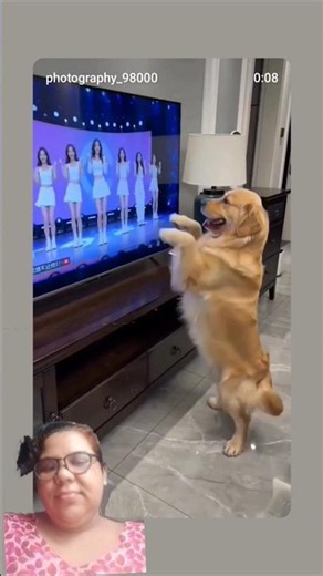 #dogsworld #pets #animals #doglove #dogdance #labrador #dogs #dog #doggie #dogscorner #dogselfie