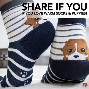 287K views · 1.5K shares | Share if you love puppies and warm socks! Your purchase provides 5 meals for shelter dogs. | iHeartDogs | Facebook