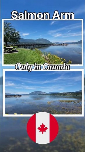 Salmon Arm, BC 🌄 | Hidden Gem on Our Across Canada Road Trip! 🇨🇦