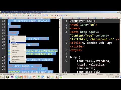 How to Read the W3C Validator Part 1