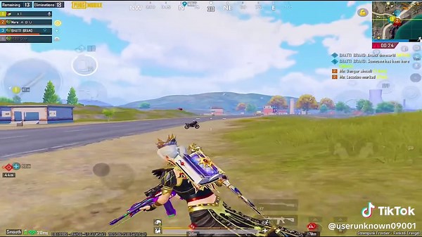 Exploring the Fascinating World of Falcons