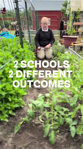 2 schools 2 different outcomes. One school teaches memorization. The other teaches children to produce. Which school teaches the lesson? It's hard to unsee the truth once it's presented. Let's begin a school in your community. This time next year you can be the change you want to see in education. Comment SCHOOL for info. #christian #backtobasic #education #teachersoftiktok #teacher