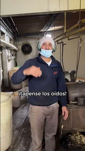 ASÍ SE FABRICAN LAS TUTUCAS 🔥! Fuimos a la fábrica del mayor productor de Tutucas de Argentina 🇦🇷