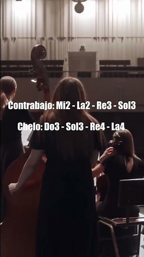WHAT IS THE DIFFERENCE BETWEEN A CELLO AND A DOUBLE BASS?