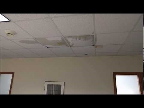 Ceiling tile falling down from water leak