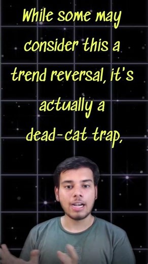 Dead Cat Bounce kya hota hai?