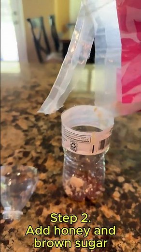 DIY Fly trap. Easy!