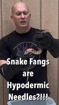 Snake Fangs are Hypodermic Needles?!