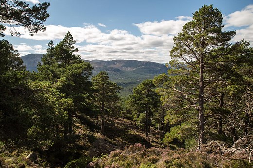 How To Find Us | The Fife Arms Boutique Hotel, Braemar