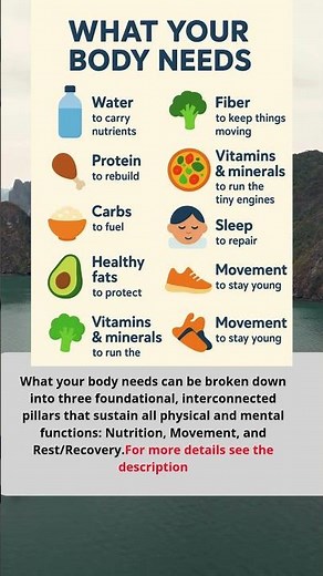 a guide to the essential needs your body requires every day