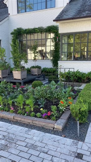 Exploring a Lush Kitchen Garden: A Tour of Fresh Vegetables