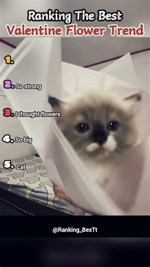 😂#student #studentlife #schoollife #school #teachers #teacherbelike