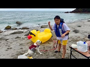 🔴LIVE：2026我が家の海開きライブをベルさんと！