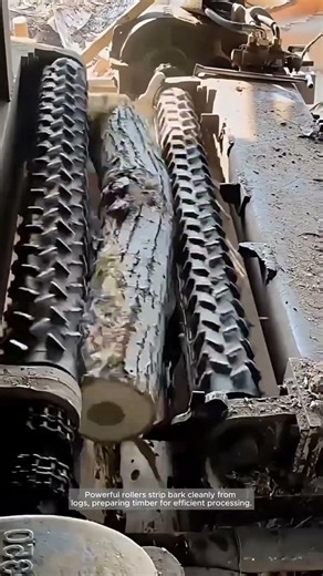 Stripping the Bark: Inside an Industrial Log Debarker