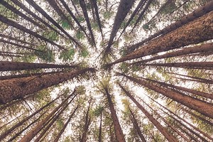 Membership Webinars - CIWEM