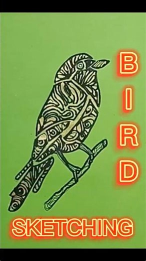 Step-by-Step Guide to Bird Sketch Art Techniques