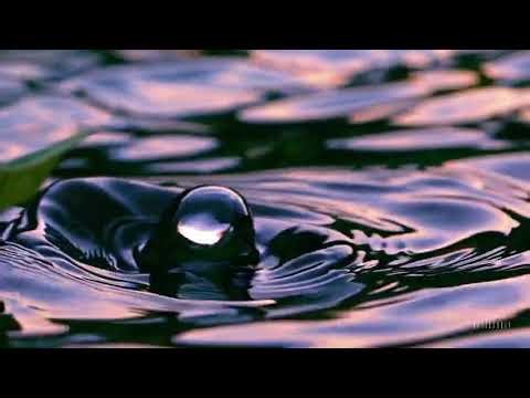 Slow-Motion Water Cinematics 💧🌧️ | Rivers, Rain & Flowing Textures