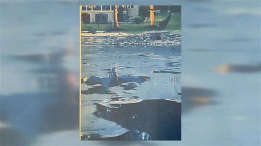 Algae treatment begins on Charlotte-area lakes