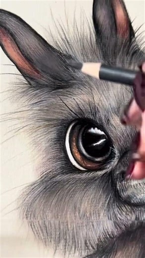 It’s all in the details! 👀 Grey Pet Bunny Rabbit Pencil Drawing ✍️ Art by AJF
