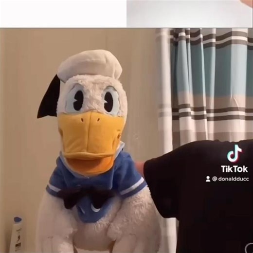 STOP #donaldducc #fostershomeforimaginaryfriends #mac #cartoonnetwork #stop #infernal #slumber