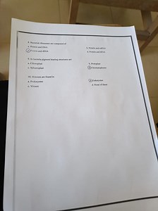 Bacterial ribosomes are composed ofa. Protein and DNA(c.) Pro... | Filo