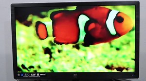 170K views · 7.4K reactions | How fish deal with stress. | CalebCity | Facebook