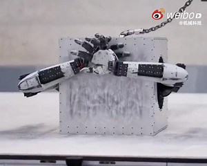 8K views · 69 reactions | 仿生雙臂機器人。 備註：真看不懂這一架到底能幹嘛？ 想表達什麼？？ 機械科技 https://video.weibo.com/show?fid=1034:5087162706886687 | Smart Robots 智慧機器人 | Facebook