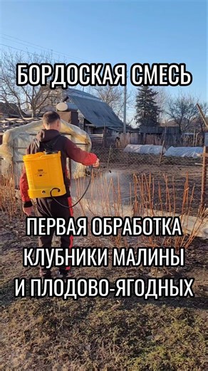 Бордоская смесь первая обработка клубники #бордоскаясмесь #бордоськасуміш #дача #сад #огород