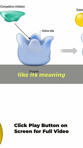 Enzyme Inhibition: Competitive Control Explained Simply