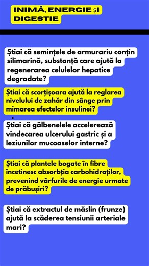 Motorul corpului: Plantele care îți dau energie și reglează digestia 🫀⚡