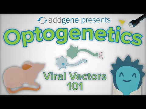 Optogenetics - Viral Vectors 101