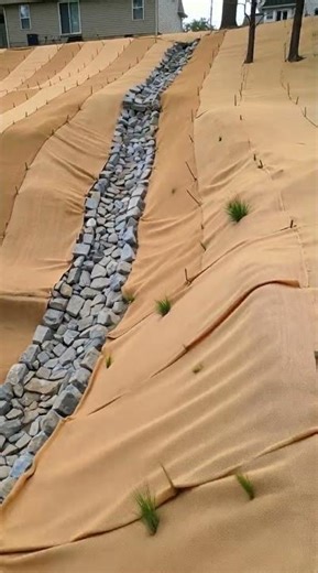 Erosion control done right 🌱 #shorts